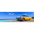 Taxilearn - Software für die Taxiprüfung