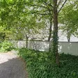 Alpha Software GmbH